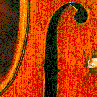 F-hole of a Stradivarius
